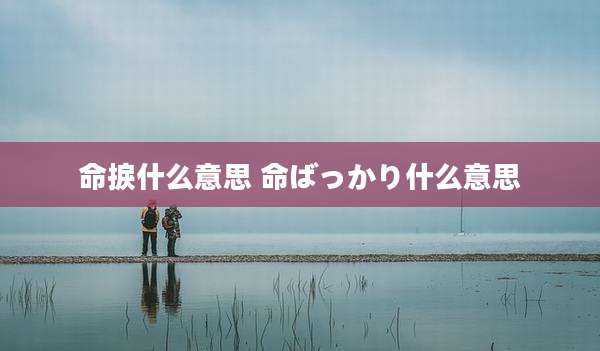 命捩什么意思 命ばっかり什么意思
