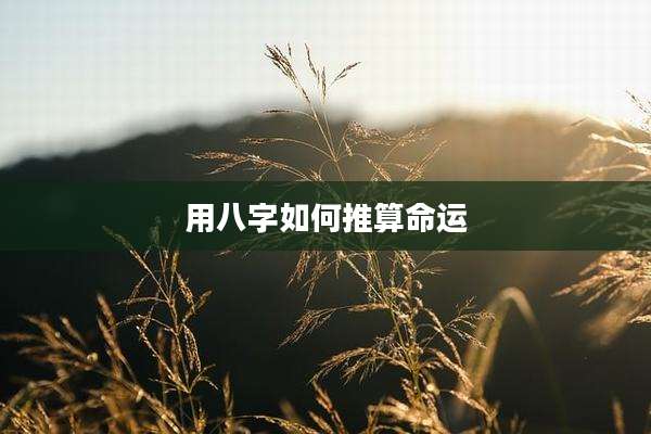 用八字如何推算命运