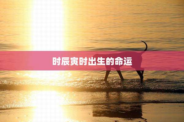时辰寅时出生的命运
