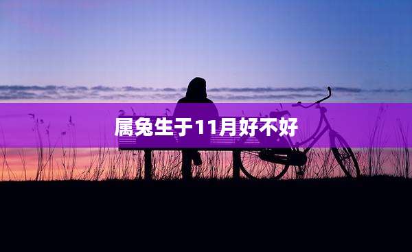 属兔生于11月好不好