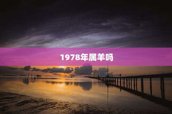1978年属羊吗