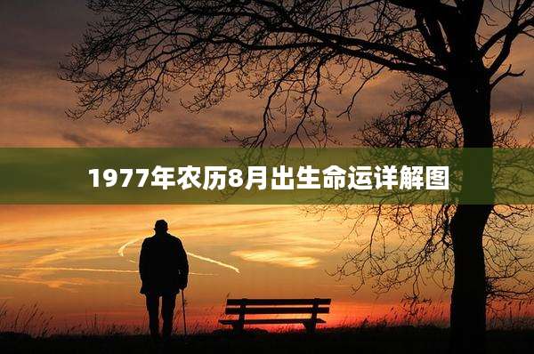 1977年农历8月出生命运详解图