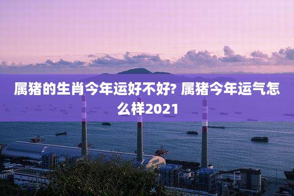 属猪的生肖今年运好不好? 属猪今年运气怎么样2021