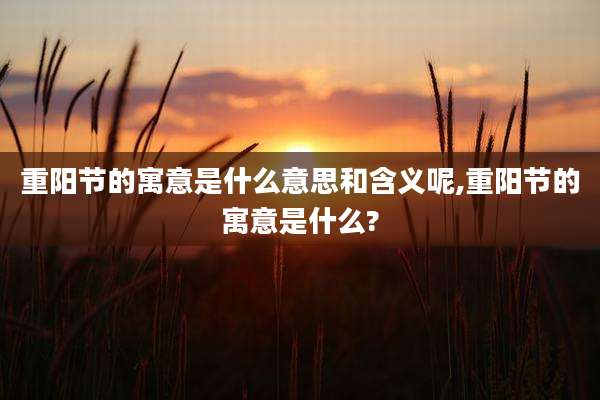 重阳节的寓意是什么意思和含义呢,重阳节的寓意是什么?