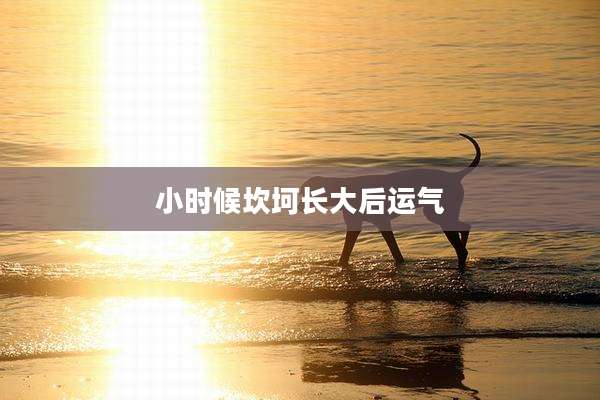 小时候坎坷长大后运气