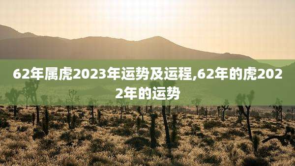 62年属虎2023年运势及运程,62年的虎2022年的运势