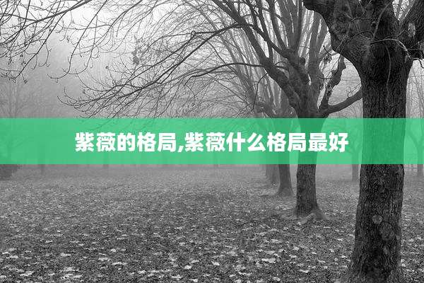 紫薇的格局,紫薇什么格局最好