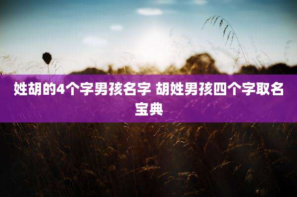 姓胡的4个字男孩名字 胡姓男孩四个字取名宝典