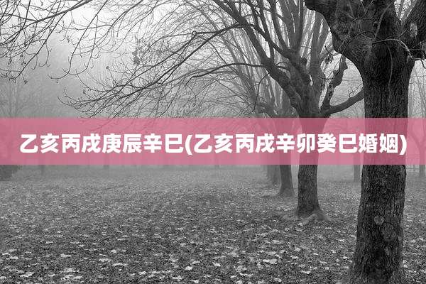 乙亥丙戌庚辰辛巳(乙亥丙戌辛卯癸巳婚姻)
