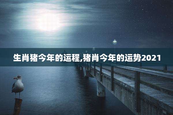 生肖猪今年的运程,猪肖今年的运势2021