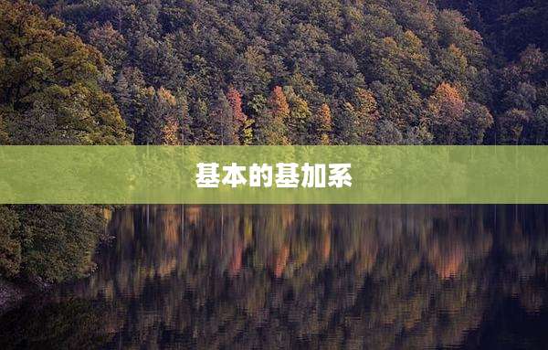 基本的基加系
