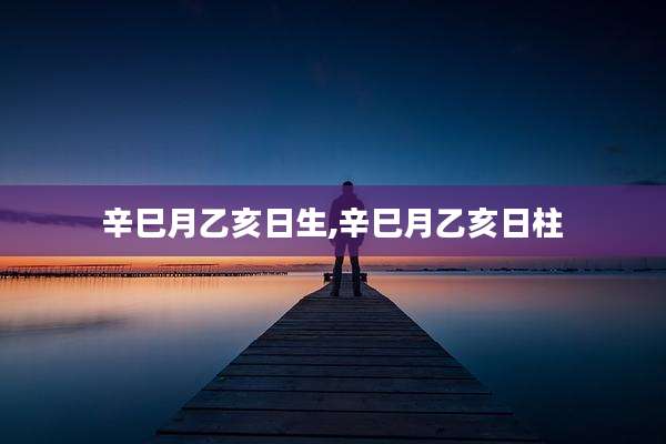辛巳月乙亥日生,辛巳月乙亥日柱