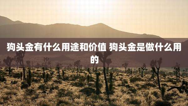 狗头金有什么用途和价值 狗头金是做什么用的