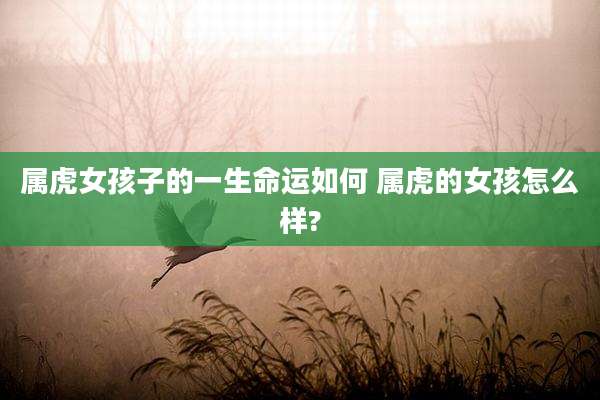 属虎女孩子的一生命运如何 属虎的女孩怎么样?