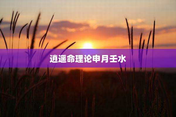 逍遥命理论申月壬水