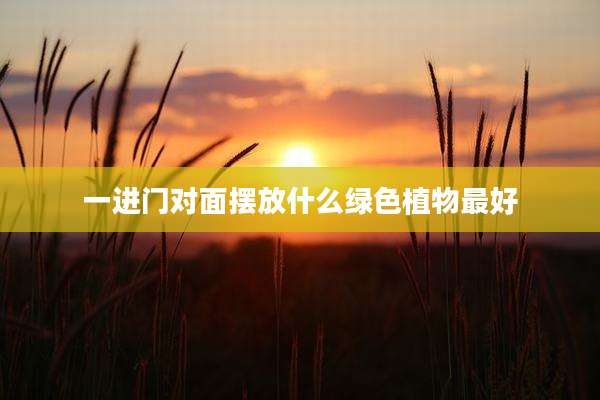 一进门对面摆放什么绿色植物最好