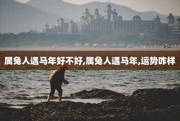 属兔人遇马年好不好,属兔人遇马年,运势咋样