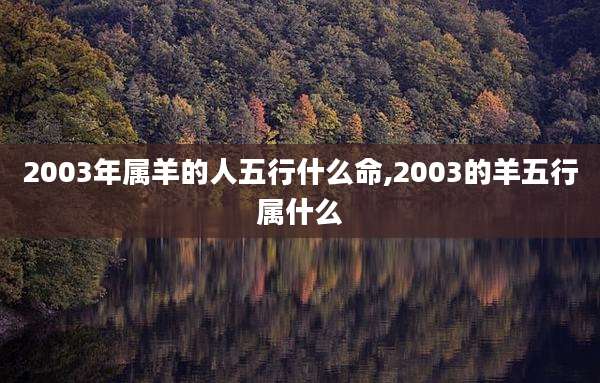 2003年属羊的人五行什么命,2003的羊五行属什么