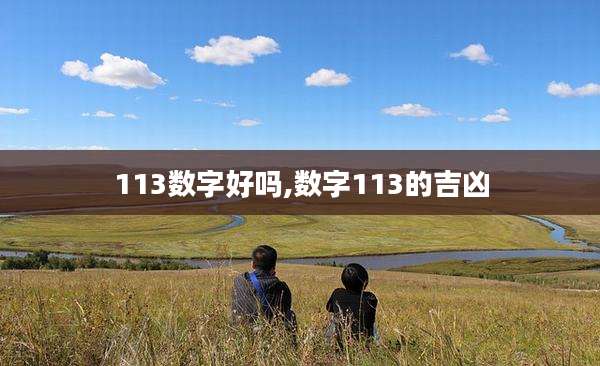 113数字好吗,数字113的吉凶
