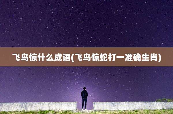 飞鸟惊什么成语(飞鸟惊蛇打一准确生肖)
