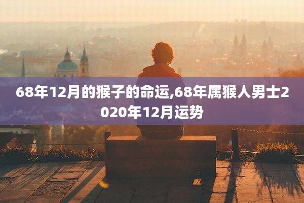 68年12月的猴子的命运,68年属猴人男士2020年12月运势
