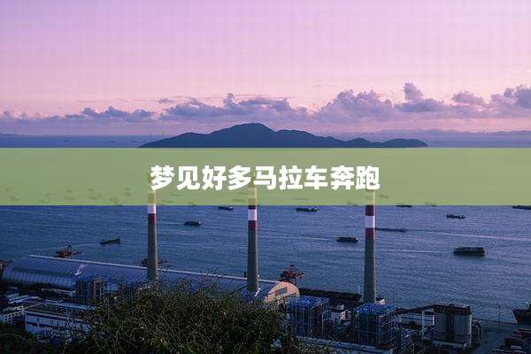 梦见好多马拉车奔跑