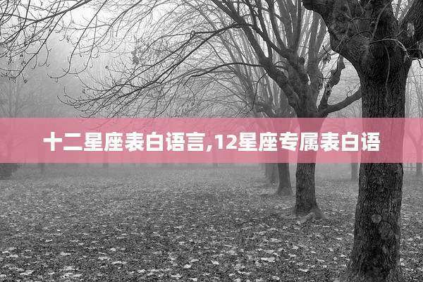 十二星座表白语言,12星座专属表白语