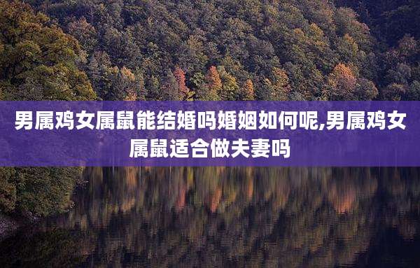 男属鸡女属鼠能结婚吗婚姻如何呢,男属鸡女属鼠适合做夫妻吗