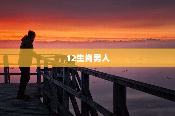 12生肖男人