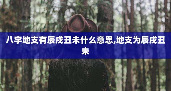 八字地支有辰戌丑未什么意思,地支为辰戌丑未