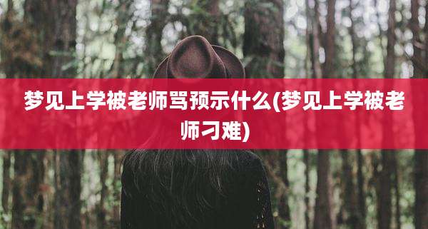 梦见上学被老师骂预示什么(梦见上学被老师刁难)