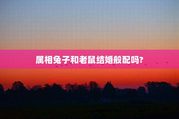 属相兔子和老鼠结婚般配吗?