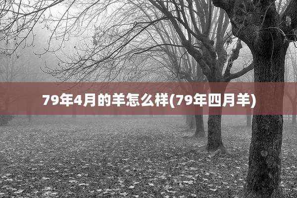 79年4月的羊怎么样(79年四月羊)