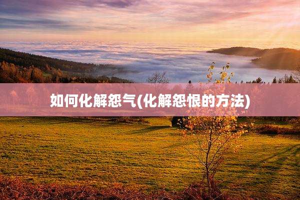 如何化解怨气(化解怨恨的方法)
