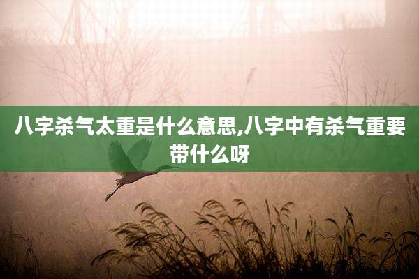 八字杀气太重是什么意思,八字中有杀气重要带什么呀