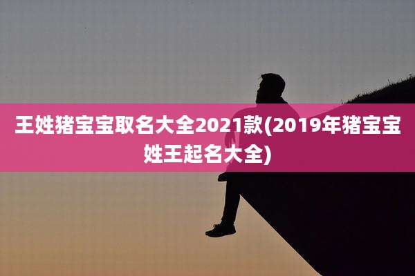 王姓猪宝宝取名大全2021款(2019年猪宝宝姓王起名大全)