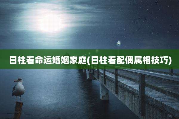 日柱看命运婚姻家庭(日柱看配偶属相技巧)