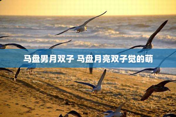 马盘男月双子 马盘月亮双子觉的萌