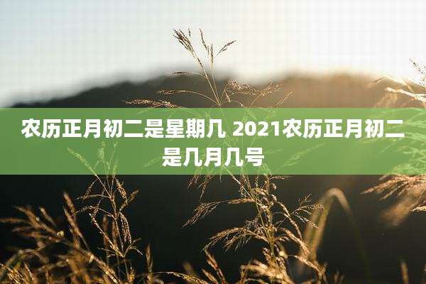 农历正月初二是星期几 2021农历正月初二是几月几号