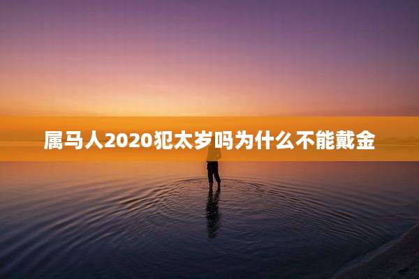 属马人2020犯太岁吗为什么不能戴金