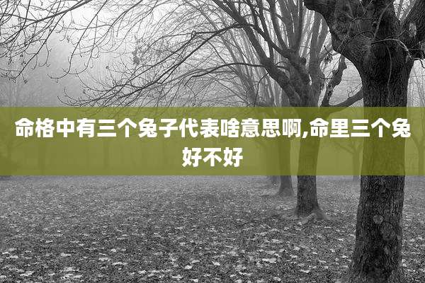 命格中有三个兔子代表啥意思啊,命里三个兔好不好