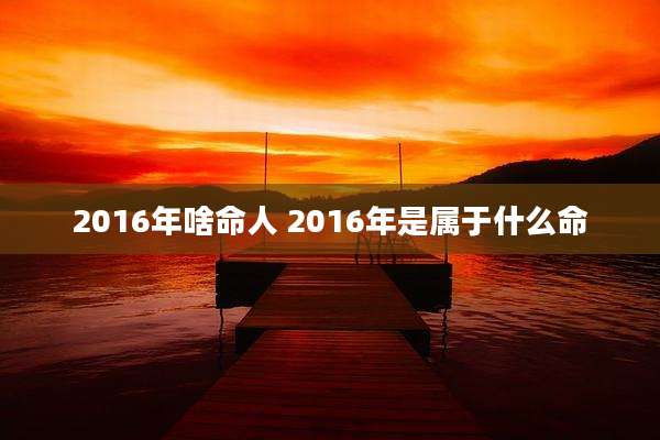 2016年啥命人 2016年是属于什么命