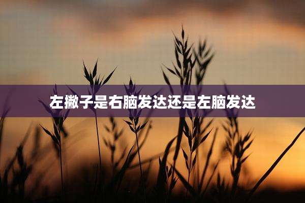 左撇子是右脑发达还是左脑发达