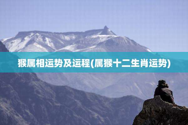 猴属相运势及运程(属猴十二生肖运势)