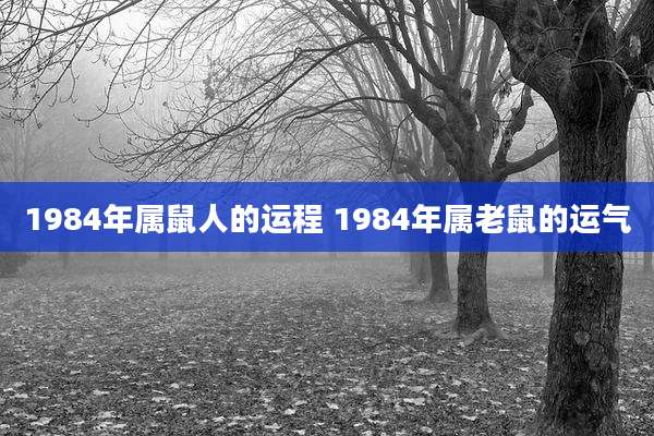 1984年属鼠人的运程 1984年属老鼠的运气