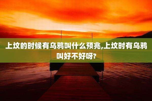 上坟的时候有乌鸦叫什么预兆,上坟时有乌鸦叫好不好呀?