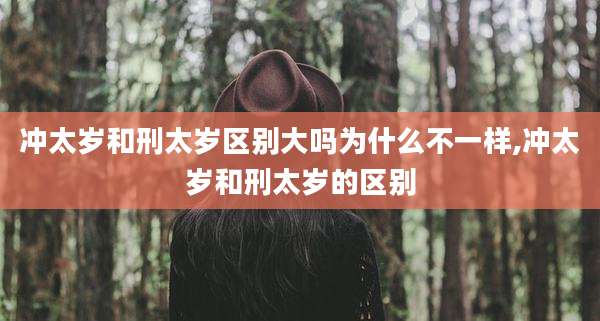 冲太岁和刑太岁区别大吗为什么不一样,冲太岁和刑太岁的区别