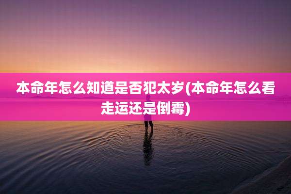 本命年怎么知道是否犯太岁(本命年怎么看走运还是倒霉)