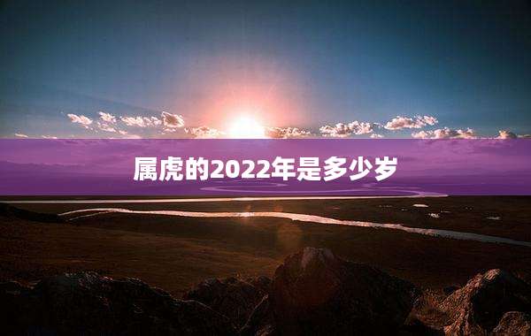 属虎的2022年是多少岁