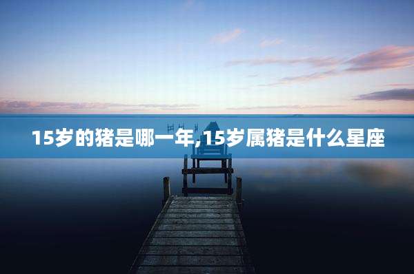 15岁的猪是哪一年,15岁属猪是什么星座